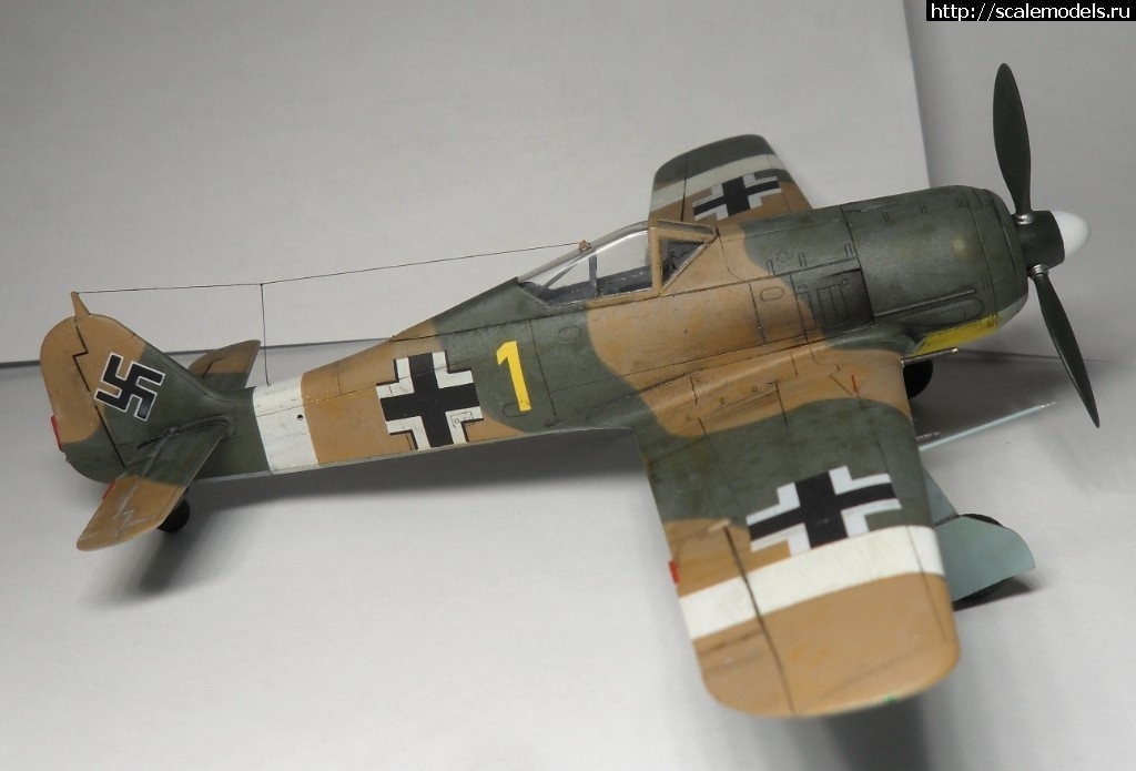 1550359836_1527283062_4.jpg :      - 1/72 Fw 190  