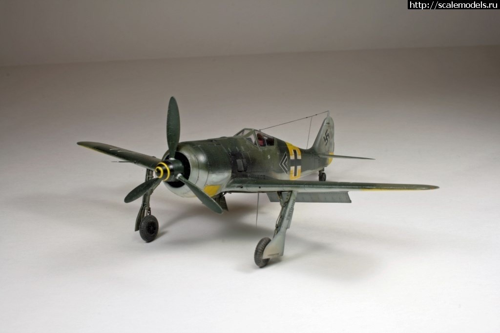 1550359863_1539971932_3.jpg :      - 1/72 Fw 190  