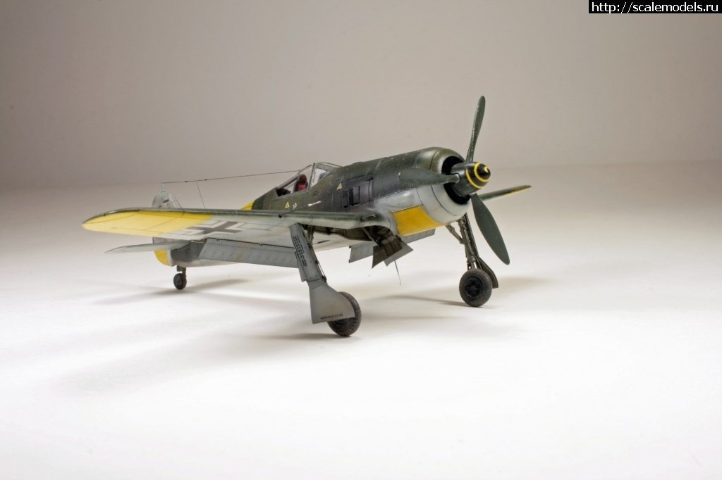 1550359866_1539971943_12.jpg :      - 1/72 Fw 190  