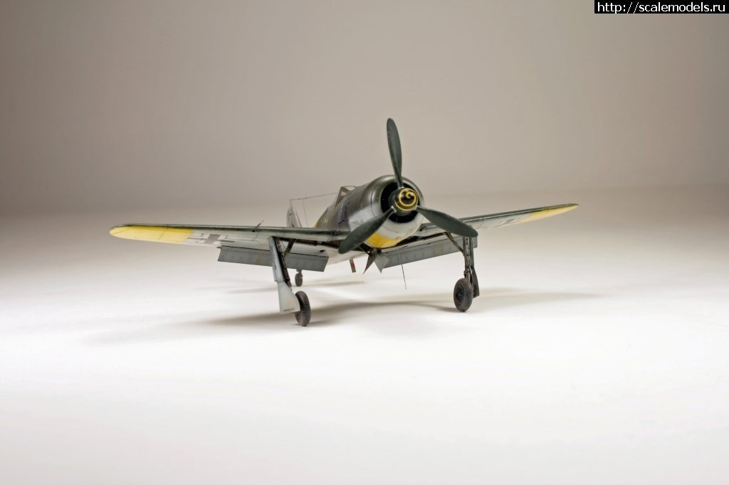 1550359867_1539971944_13.jpg :      - 1/72 Fw 190  