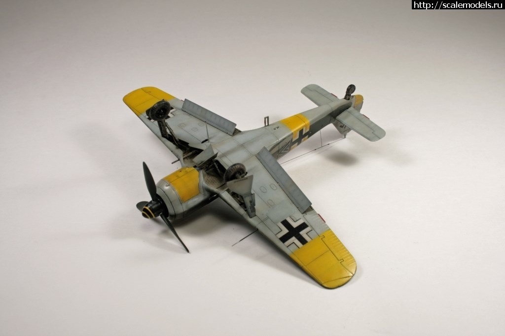 1550359868_1539971947_16.jpg :      - 1/72 Fw 190  