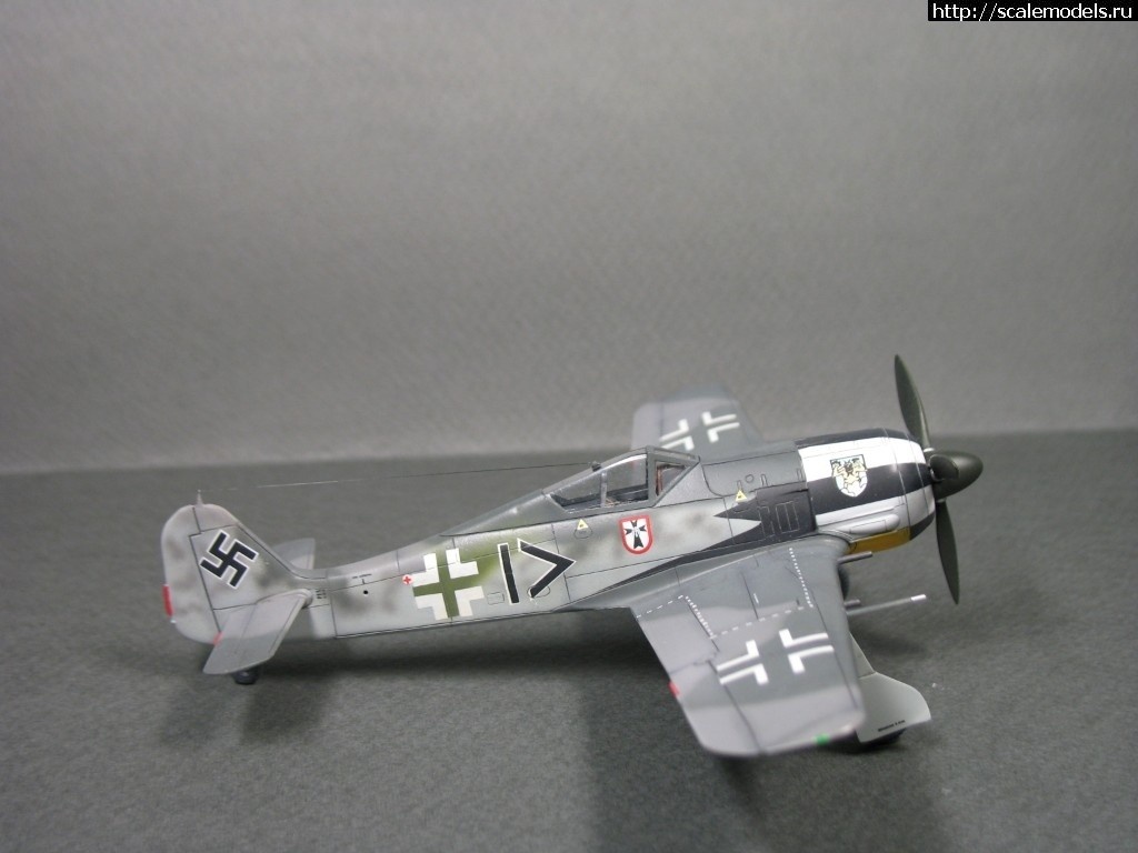 1550359906_1538848966_IMG_0723.JPG :      - 1/72 Fw 190  