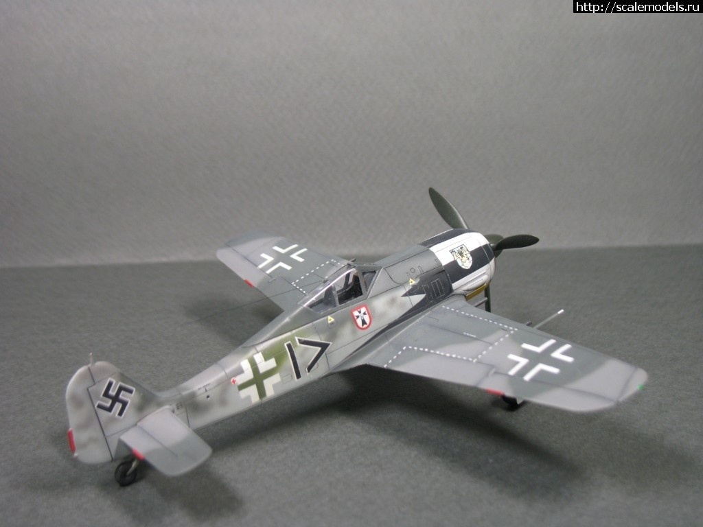 1550359907_1538848967_IMG_0726.JPG :      - 1/72 Fw 190  