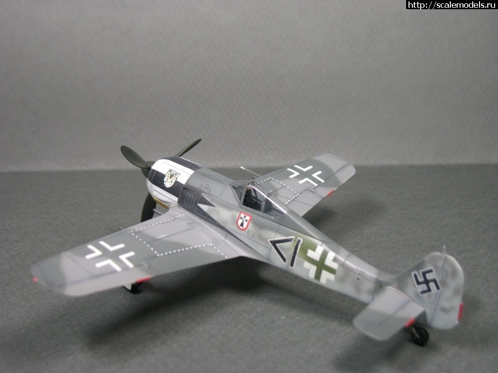 1550359908_1538848968_IMG_0729.JPG :      - 1/72 Fw 190  