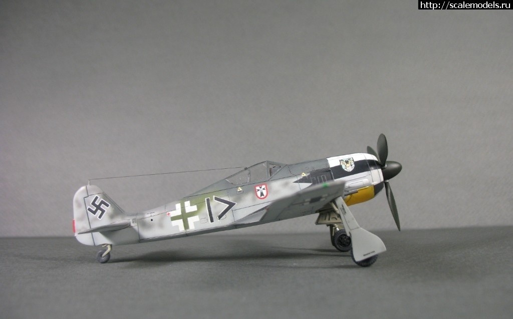 1550359909_1538848970_IMG_0739.JPG :      - 1/72 Fw 190  