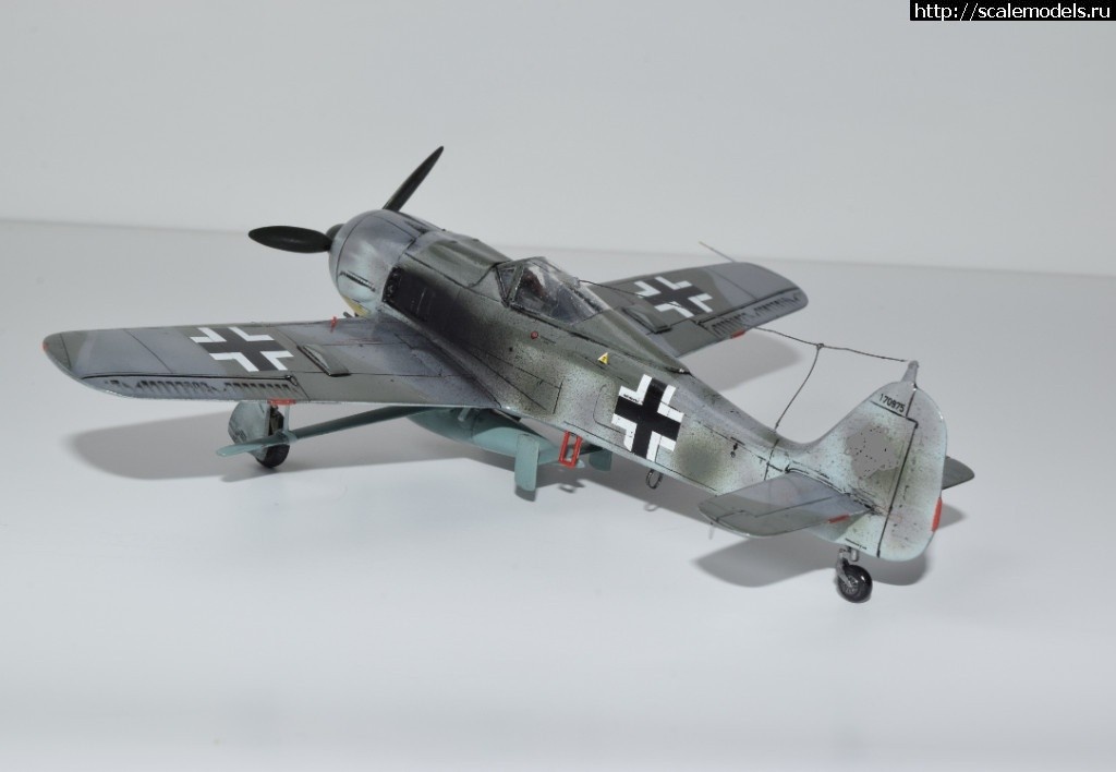 1550359935_1534432103_1-DSC_0088.JPG :      - 1/72 Fw 190  