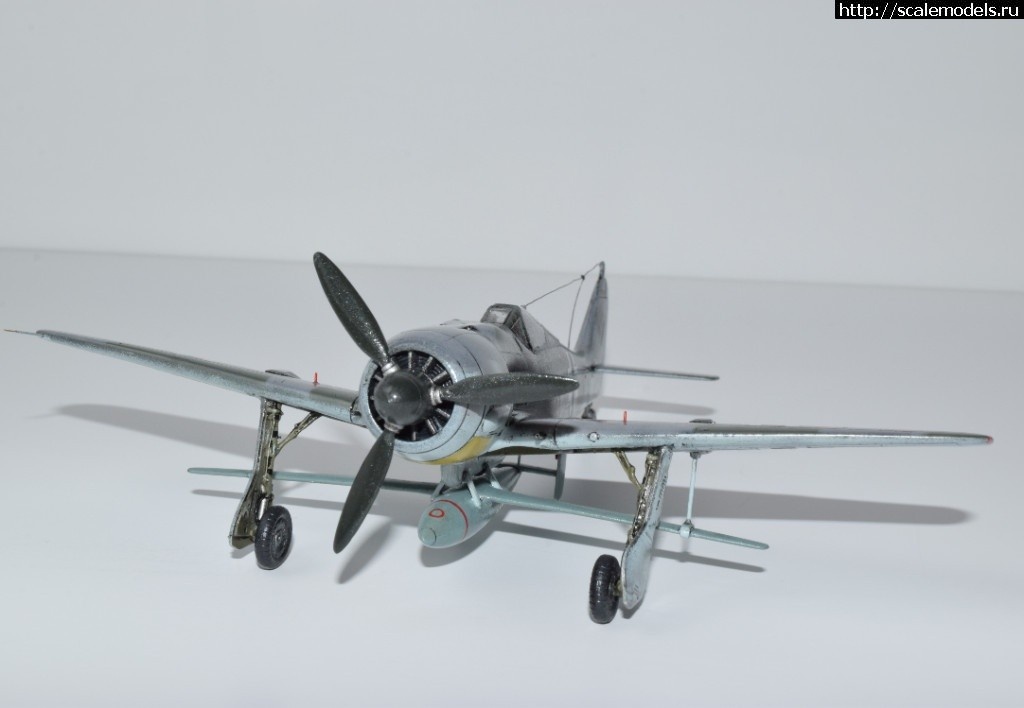 1550359936_1534432108_1-DSC_0093.JPG :      - 1/72 Fw 190  