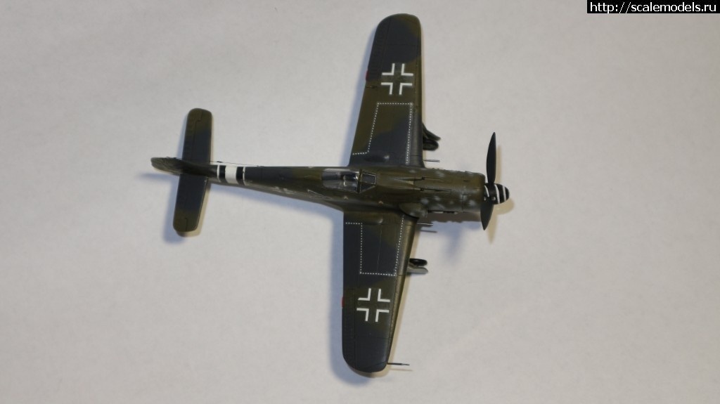 1550359988_1548968235_IMG_1639.JPG :      - 1/72 Fw 190  