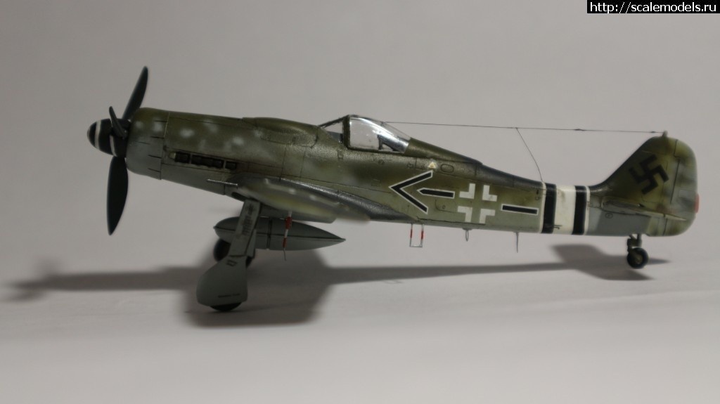 1550359990_1548970500_IMG_1653.JPG :      - 1/72 Fw 190  