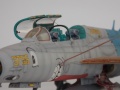 Trumpeter 1/48 -21