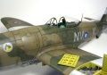 Tamiya 1/48 P-47D Thunderbolt RAF