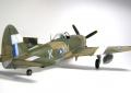 Tamiya 1/48 P-47D Thunderbolt RAF