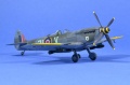 Eduard 1/48 Supermarine Spitfire Mk XVI