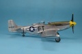 Meng 1/48 LS-009 P-51D Mustang Yellow Nose