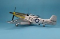 Meng 1/48 LS-009 P-51D Mustang Yellow Nose