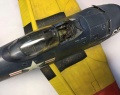 Testors 1/48 F8F-2D Bearcat  -  ,  2.