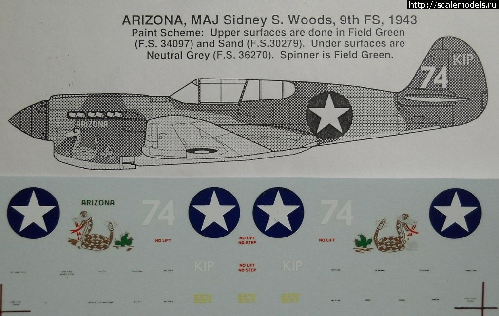 1552068684_DSCN1365.jpg : #1541667/ P-40E Warhawk 1/72 Academy   