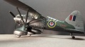 Eduard 1/48 Westland Lysander