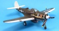 Eduard 1/48 P-400 Air-A-Cutie