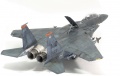 Tamiya 1/32 Boeing/McDonnell Douglas F-15E Strike Eagle