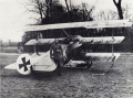 Eduard 1/48 Fokker Dr.I - Kennscht mi noch?