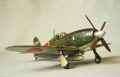 Hasegawa 1/48 Mitsubishi J2M6 type 31 Raiden