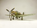 Eduard 1/48 P-400 Air A Cutie -   