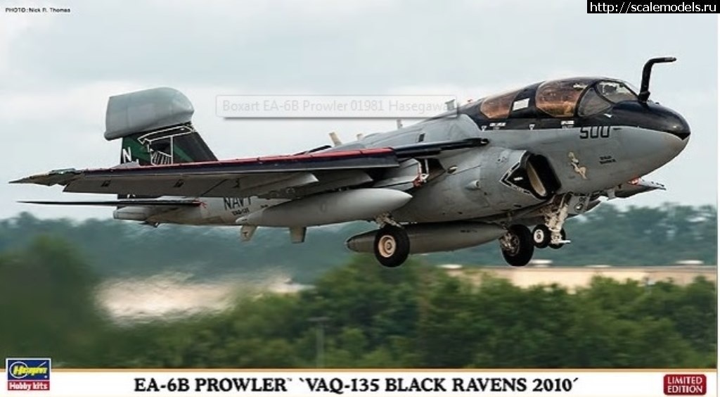 1557223505_Prowler.jpg :   Hasegawa 1/72 EA-6B Prowler 01981 Black Ravens  