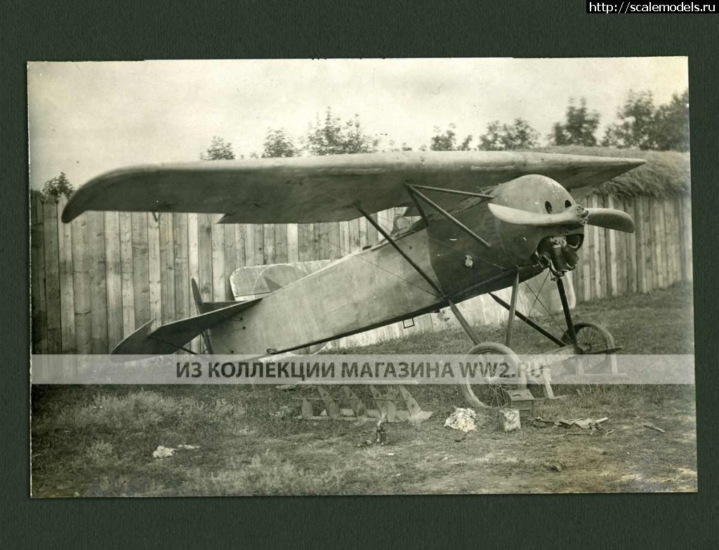 1558099824_1641-Fokker-E-V.jpg : #1554126/ Fokker E. V /D. VIII 1/72  