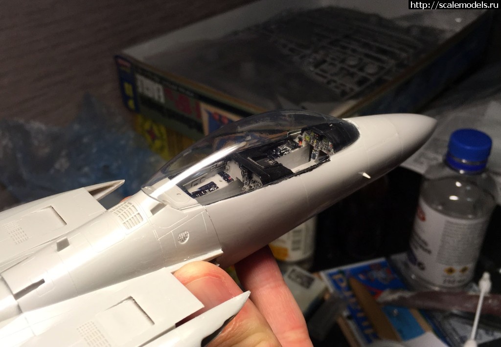 1558263655_IMG_3018.JPG : #1554366/ Hasegawa 1/48 F-15c(#13160) -   