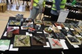 Moson Model Show 2019, Mosonmagyarovar, Hungary - -3