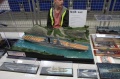 Moson Model Show 2019, Mosonmagyarovar, Hungary - 