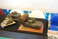 Moson Model Show 2019, Mosonmagyarovar Hungary -   1