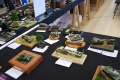 Moson Model Show 2019, Mosonmagyarovar Hungary -   1