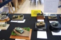 Moson Model Show 2019, Mosonmagyarovar Hungary -   1