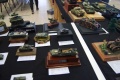 Moson Model Show 2019, Mosonmagyarovar Hungary -   1