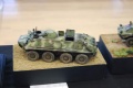 Moson Model Show 2019, Mosonmagyarovar Hungary -   1