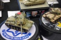 Moson Model Show 2019, Mosonmagyarovar Hungary -   1