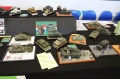 Moson Model Show 2019, Mosonmagyarovar Hungary -   1