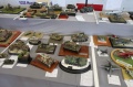 Moson Model Show 2019, Mosonmagyarovar Hungary -   1