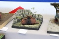 Moson Model Show 2019, Mosonmagyarovar Hungary -   1