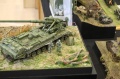 Moson Model Show 2019, Mosonmagyarovar Hungary -   2