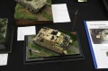 Moson Model Show 2019, Mosonmagyarovar Hungary -   2