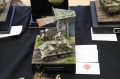 Moson Model Show 2019, Mosonmagyarovar Hungary -   2