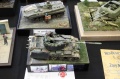 Moson Model Show 2019, Mosonmagyarovar Hungary -   2