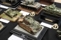 Moson Model Show 2019, Mosonmagyarovar Hungary -   2