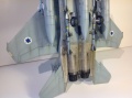 Hasegawa 1/48 F-15c