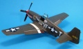 Tamiya 1/48 P-51B Mustang