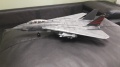 Academy 1/32 F-14A Bombcat