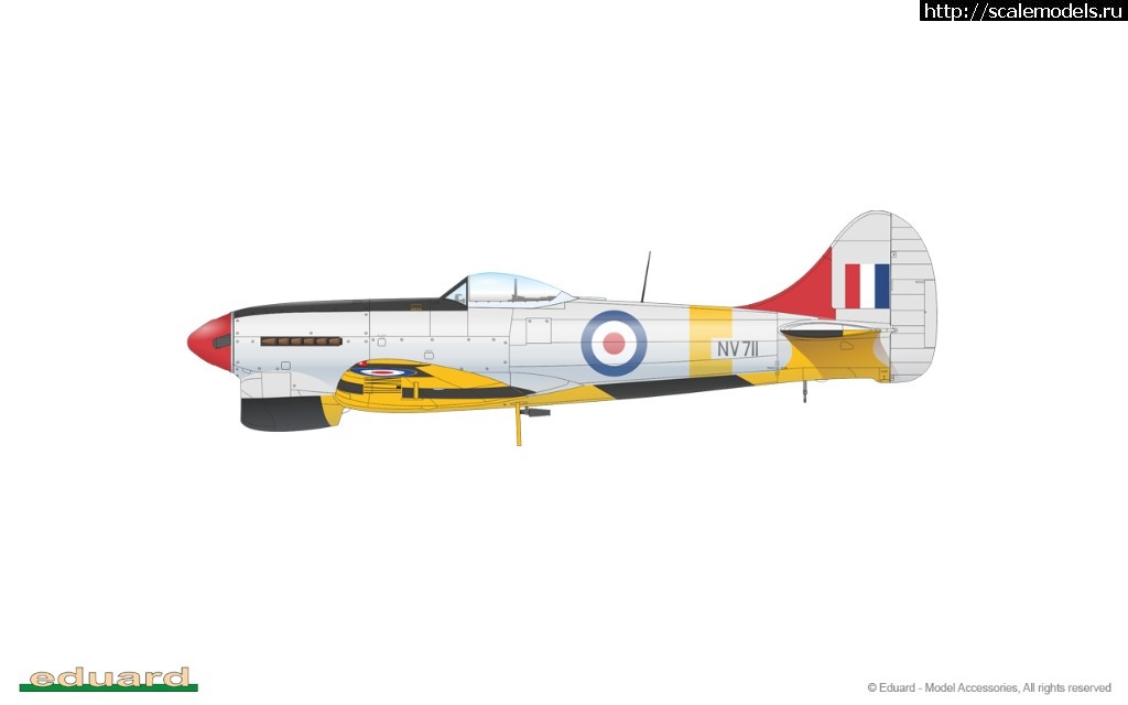 1562145032_R0018_14.jpg :  Eduard 1/48 Hawker Tempest Mk. V - Dual combo Royal Class  